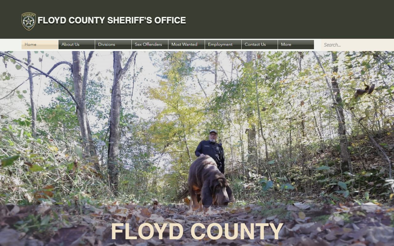 Floyd County Sheriff website for Rome 72 hour booking records