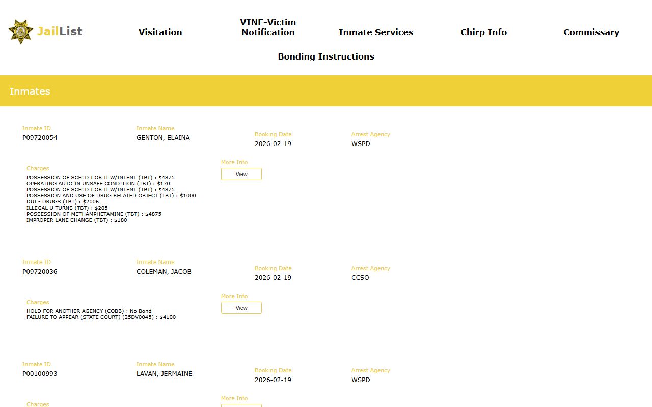 Cherokee County inmate search report for 72 hour booking records